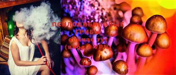 мяу мяу кристалл Алексин