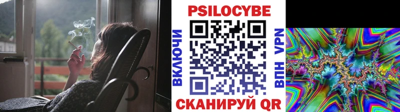 закладка  Сатка  Псилоцибиновые грибы Cubensis 